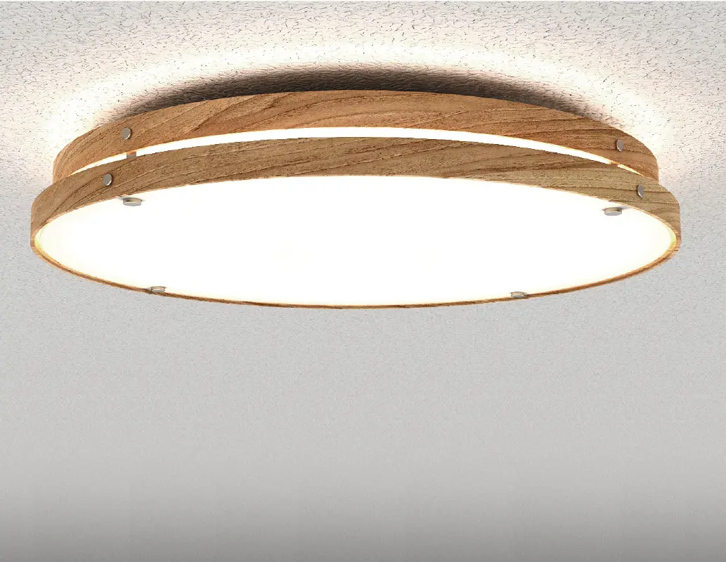 XD38-WTS01-500 Ceiling Light