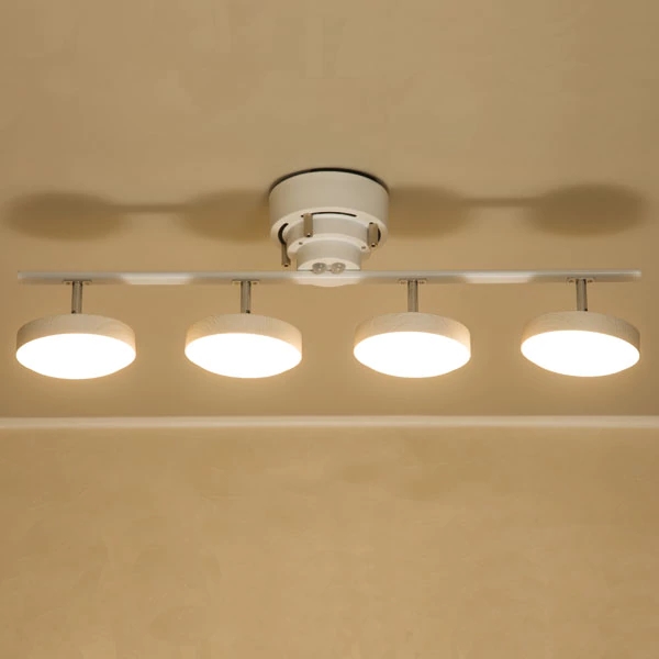 Y4CL-038-01 LED Ceiling Light