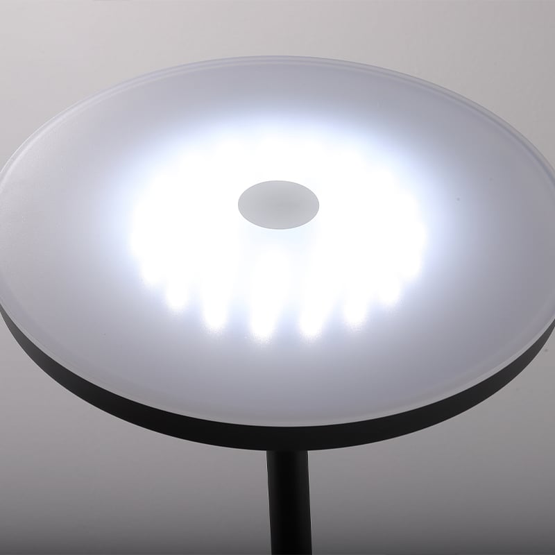 YFLL LED Floor Lamp with Remote Control