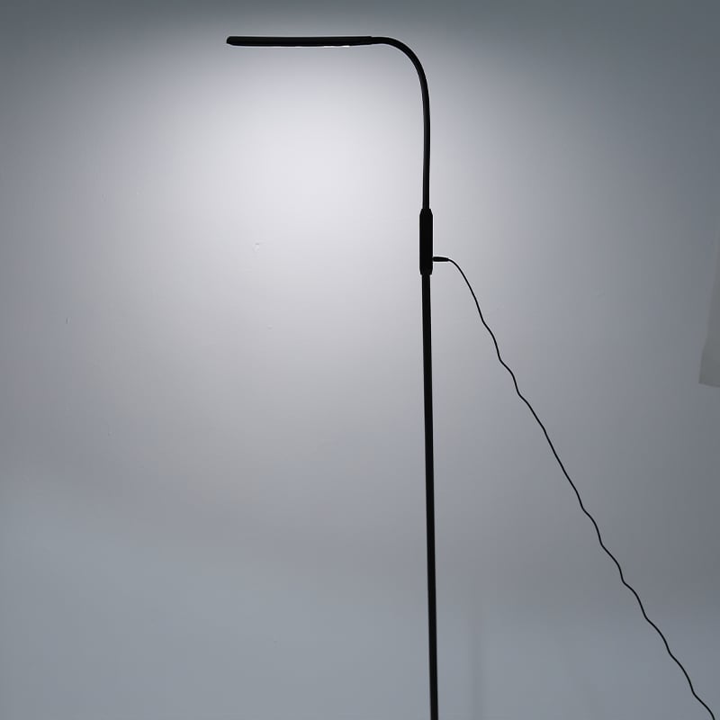 FL0603 LED Floor Lamp with Remote Control