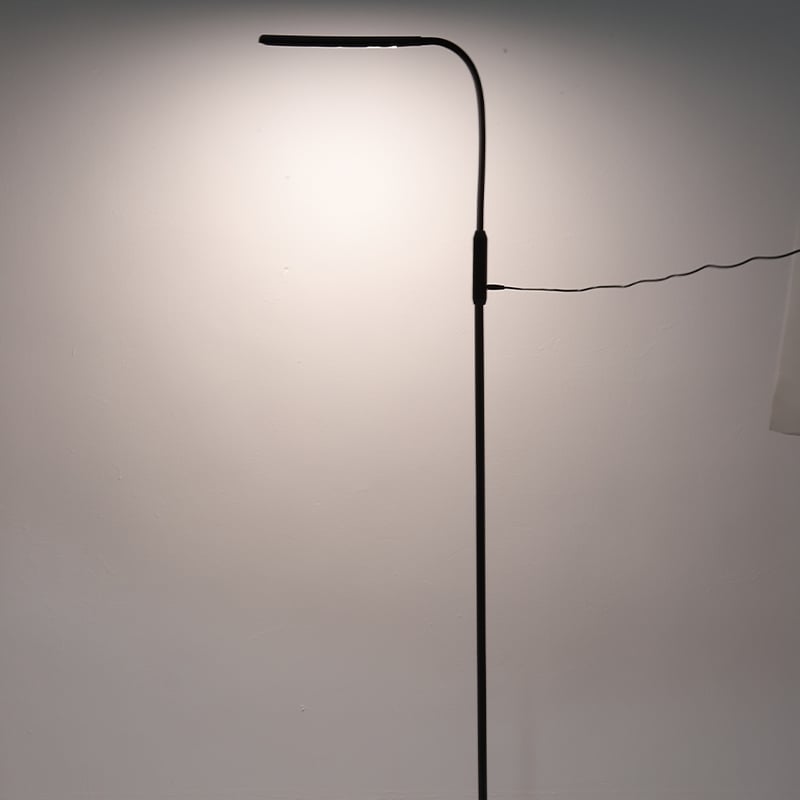 FL0603 LED Floor Lamp with Remote Control