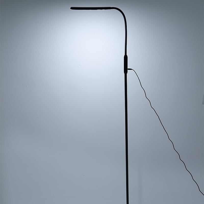 FL0603 LED Floor Lamp with Remote Control