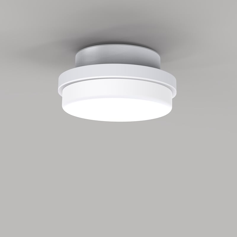 YWCL-015-01 LED Ceiling Light