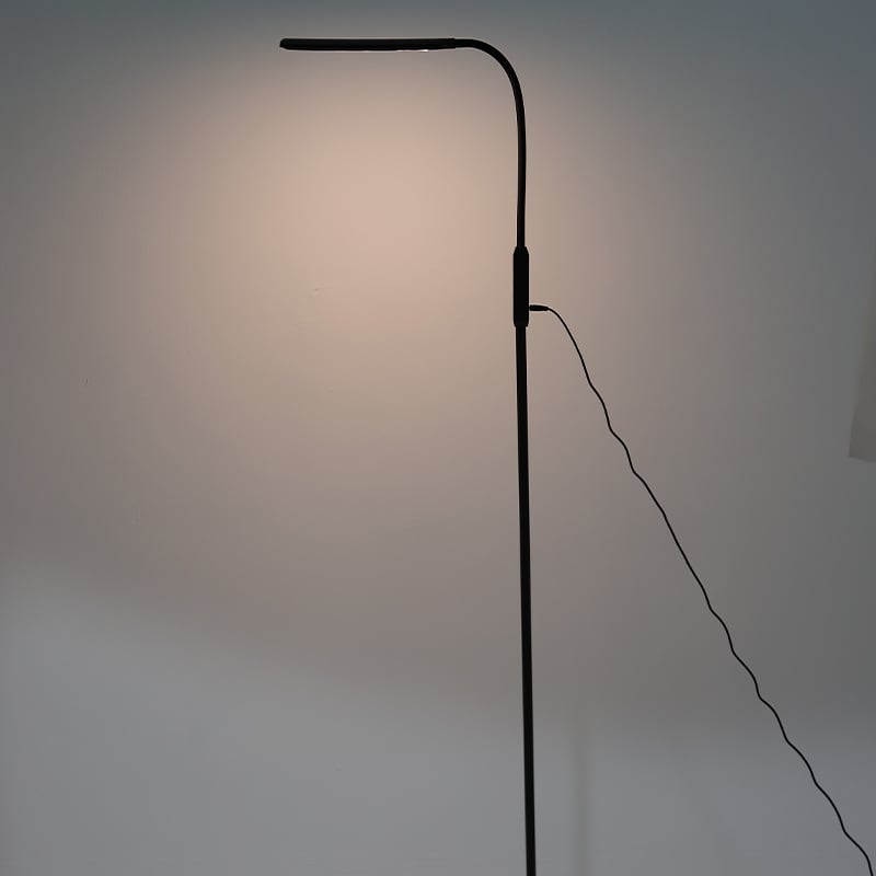 FL0603 LED Floor Lamp with Remote Control